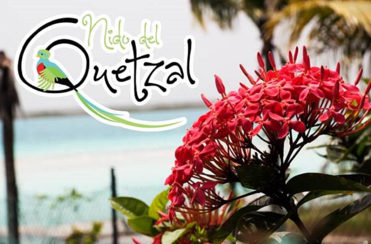 Hôtel Nido Del Quetzal à Bacalar Extérieur photo